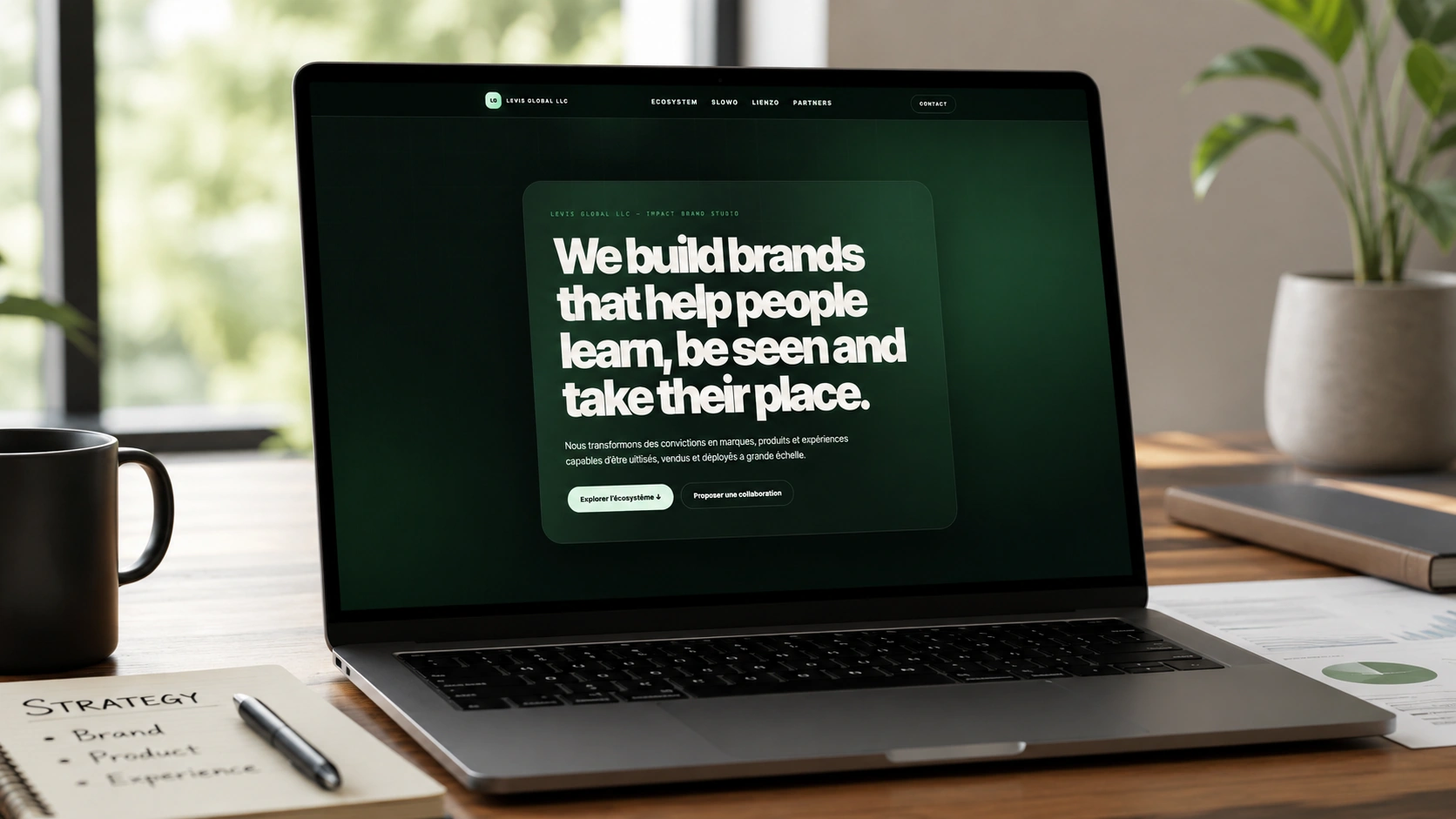 Exemple visuel de site web pour Levis Global LLC
