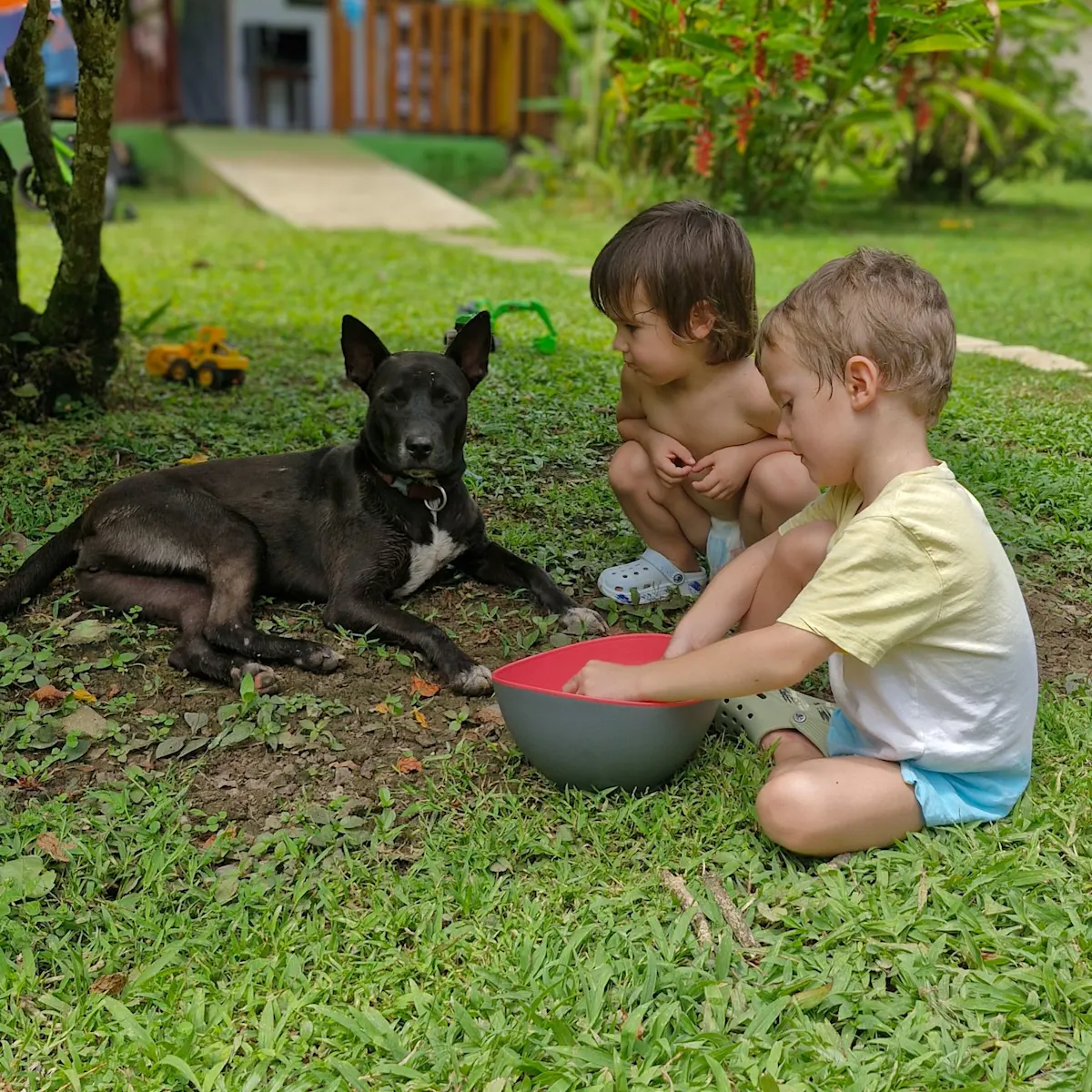 Our children with a dog in a tropical garden.