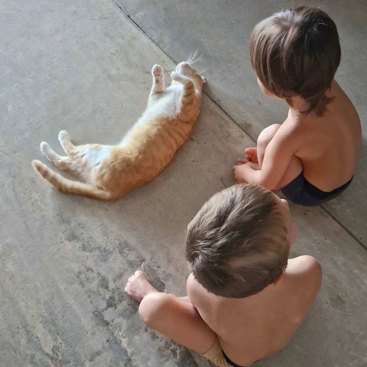 Our children watching a cat lying on the floor.