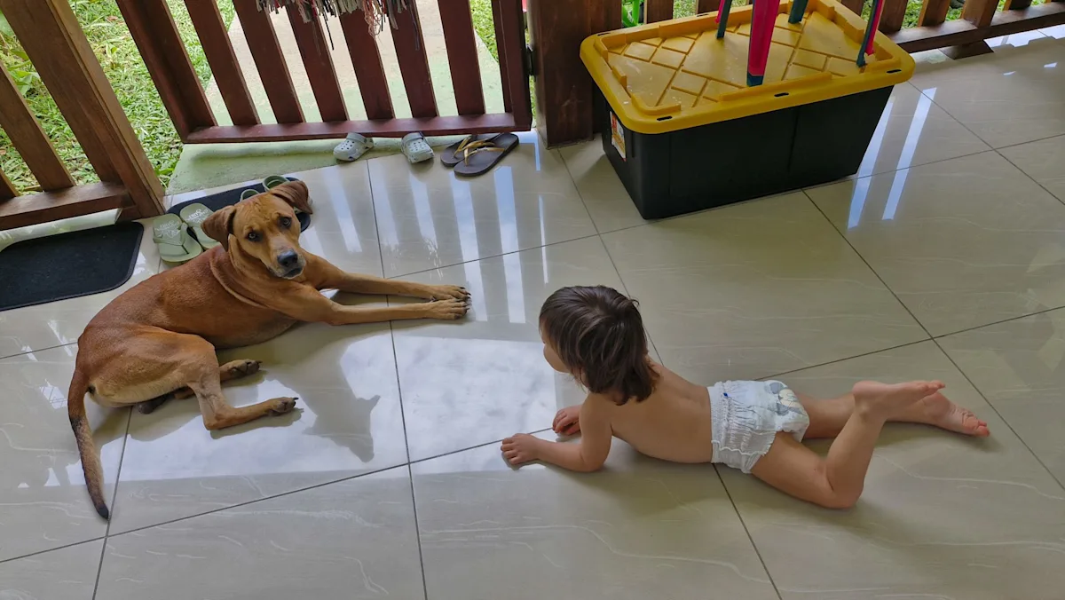 A dog and our toddler on the terrace.